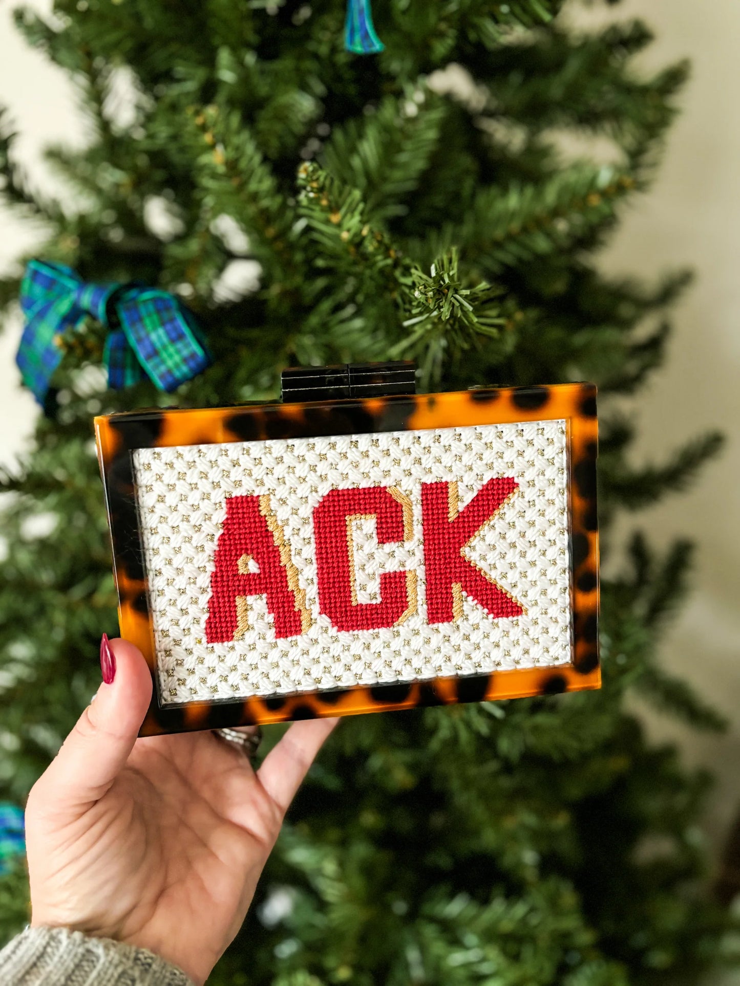 the𝗡𝗗𝗟𝗣𝗧bag™️ Acrylic Clutch
