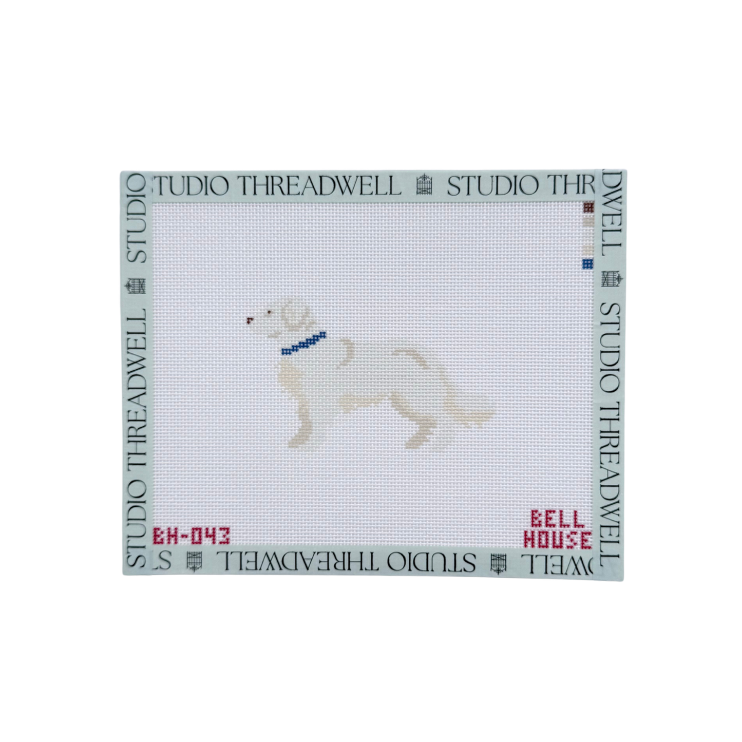 English Cream Golden Retriever
