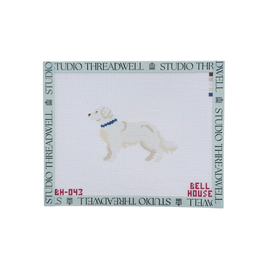 English Cream Golden Retriever