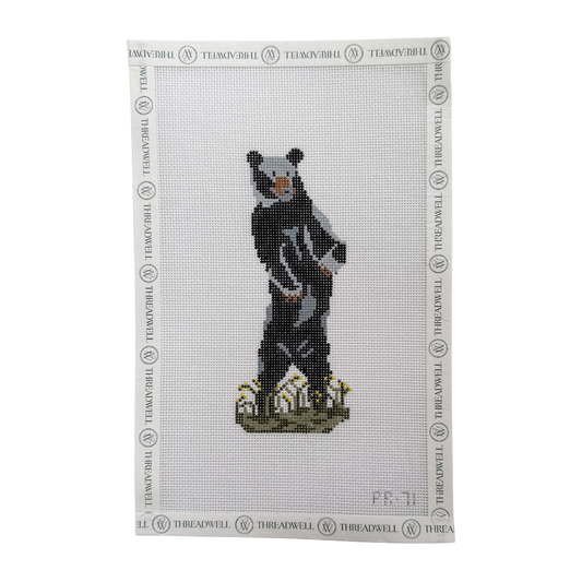 Black Bear
